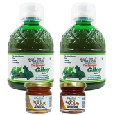 Farm Naturelle ? 100 % Pure Herbal Giloy Juice Enhances Body Immunity 400Ml x 2 and Infused Honey 55g x 2