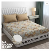 Glace Cotton All Around Elastic Fitted Bedsheet with 2 Pillow Covers - 72x78