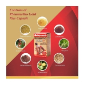 Baidyanath Rheumartho Gold Plus Joint Pian Tablet 30 no.s (Pack Of 2)