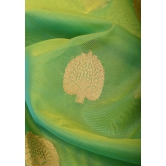 Green and mustard Dual Tone Exquisite Banarasi Organza Silk Saree with Zari Motifs | SILK MARK CERTIFIED