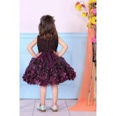 Childbird Wine Color Net Flower Girl's Party Dress-3-4 Year