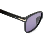 Violet Wayfarer Sunglasses for Women