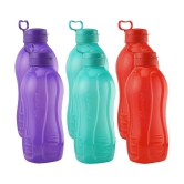 Oliveware Multicolour Water Bottle 2000 mL ( Set of 6 ) - Multicolour