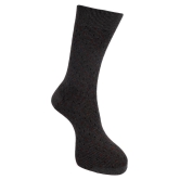 Dollar Socks Multi Casual Full Length Socks Pack of 3 - Multi