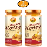 ANP BEE Honey Raw Himalayan Honey 500 g Pack of 2