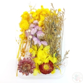 Mix Style Natural Dry Flowers #26