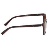 Hrinkar Brown Rectangular Glasses Brown Frame Best Polarized Goggles for Men & Women - HRS500-BWN-BWN-P