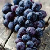 Exotic Black Grapes Fruit Plants