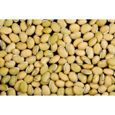 Vattam Field Beans, 500 Gm