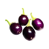 GREEN INDIA FREES PURPLE BRINJAL ROUND HYBRID 100% ORIGINAL SEEDS