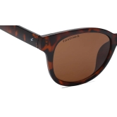 Brown Square Sunglasses for Men