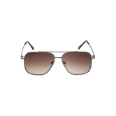 Brown Navigator Rimmed Sunglasses (M253BR4V)