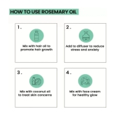 RAQUITYS Rosemary Essential Oil | Hair Growth, Skin, Face | PURE (15ml)