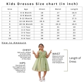 Girls Peach And White Silk Applique Party Dress-9-12 Month