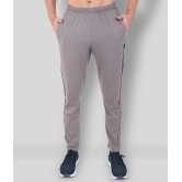 Zeffit - Grey Cotton Blend Mens Trackpants ( Pack of 1 ) - L