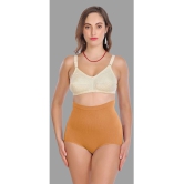 Madam - Beige Spandex Womens Shaper Brief ( Pack of 1 ) - None