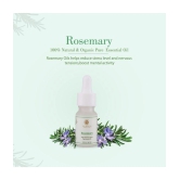 THE SKIN CO. - Rosemary Essential Oil 10 mL ( Pack of 1 )