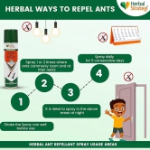 Herbal Strategi Ant Repellent Aerosol Spray - 200ml | Smarter way to Shuu Ants away | 100% Herbal and Chemical free | Baby and Pet safe | Certified Ayurvedic | Effective on all types of Ants