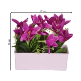 YUTIRITI Lily Purple Flowers With Pot - Pack of 1