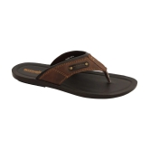 Aerowalk - Brown Mens Thong Flip Flop - None