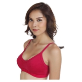 Softskin Poly Cotton Everyday Bra - Multi Color - 34B