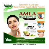 rawmest Amla Powder 100 gm Pack Of 1