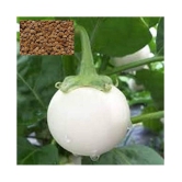 Matrix White Eggplant-Brinjal Baigen Seed