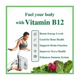 Agniveda Vitamin B12 ( Pack of 1 )