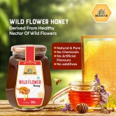 Beehive Wild Flower Honey and Organic Honey 100% Pure Natural Honey Immunity Booster | Energy Boost & a Healthy Weight Loss Weight (500 g each) Glass Jar (PACK OF 2)