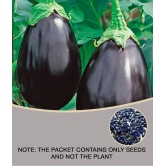 Round Brinjal (Bengan) Hybrid Seeds - Pack of 50 Seeds