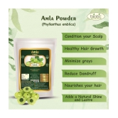 Biotic Brahmi and Amla Powder (100 gm each) 200 gm