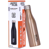 Jaypee Plus - Sierra 500  Copper 500 mL Water Bottle ( Set of 1 ) - Copper