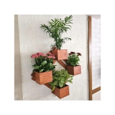 BARISH - Wall Mounted Planter - Diamond | Handcrafted with Rubberwood | Indoor Planter Frame with Stand 25 x 25 x 6 Inches - Sandy Brown