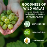 Amla Juice | 100% Cold Pressed | For Hair Growth & Detoxification | 75 Wild Amlas Per Bottle-1 Ltr