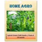 homeagro - Chilli Vegetable ( 50 Seeds )