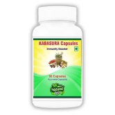 BioMed Kabasura Capsules Capsule 90 no.s