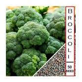 shivam organic seeds - Broccoli Vegetable ( 50 Seeds )