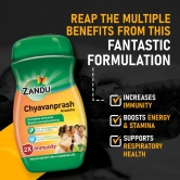 Chyavanprash Avaleha (900g) (Pack of 2)