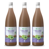 Dr. Vaidyas Amla Juice | No Artificial Colours | Sugar Free| 100% Ayurvedic |- 950ml (Pack Of 3)