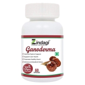 Zindagi Ganoderma Capsules - Natural Immunity Booster Capsules - Ganoderma Extract Capsules - Health Supplement 120 gm Natural Multivitamins Capsule Pack of 2