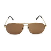 Brown Navigator Sunglasses for Men