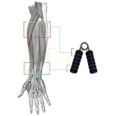 horse fit - Hand Grip ( Pack of 2 ) - FREE SIZE