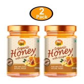 ANP BEE Honey Organic Ginger Honey 250 g Pack of 2