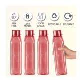 Milton Prime 1000 Pet Water Bottle, Set of 5, 1 Litre Each, Red | BPA Free | 100% Leak Proof | Office Bottle | Gym Bottle | Home | Kitchen | Travel Bottle | Hiking | Treking Bottle - Burgund