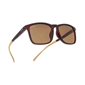 Creature - Brown Square Sunglasses ( Pack of 1 ) - Medium