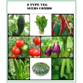 COMBO OF 8 DIFFERENT TYPE VEGETABLE PLANT SEEDS PACK MORE THAN 150 SEEDS PACK  WITH USER manual FOR HOME GARDENUNG USE