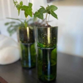 Self Watering Green Wine Bottle Planter