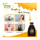 Holy Natural Honey 500 g