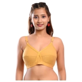 Elina Cotton Everyday Bra - Beige Single - 44C