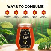 Auric Pure 250g Honey Crafted from Multi-Flower Sources, 100% Purity with No Added Sugar